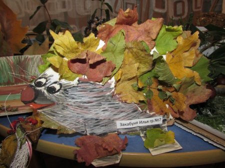 Музей опавших листьев
