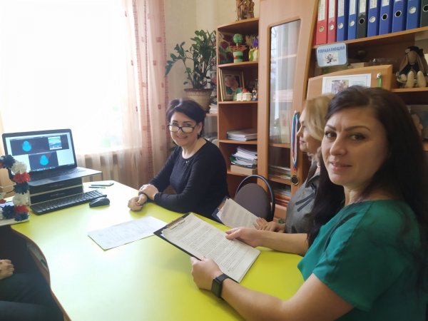 На базе "Росинки" состоялся муниципальный онлайн-семинар